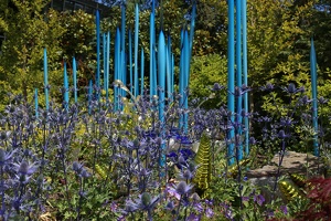 Outdoors at Chihuly Garden and Glass